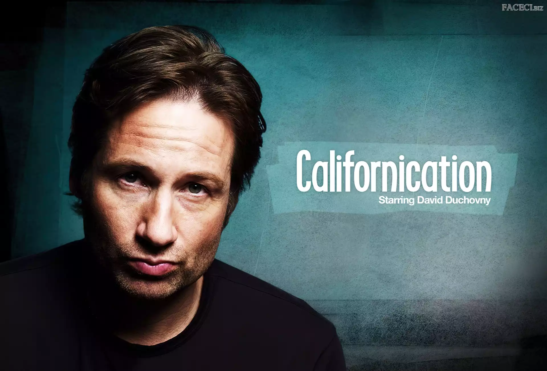 Californication, David Duchovny, Serial