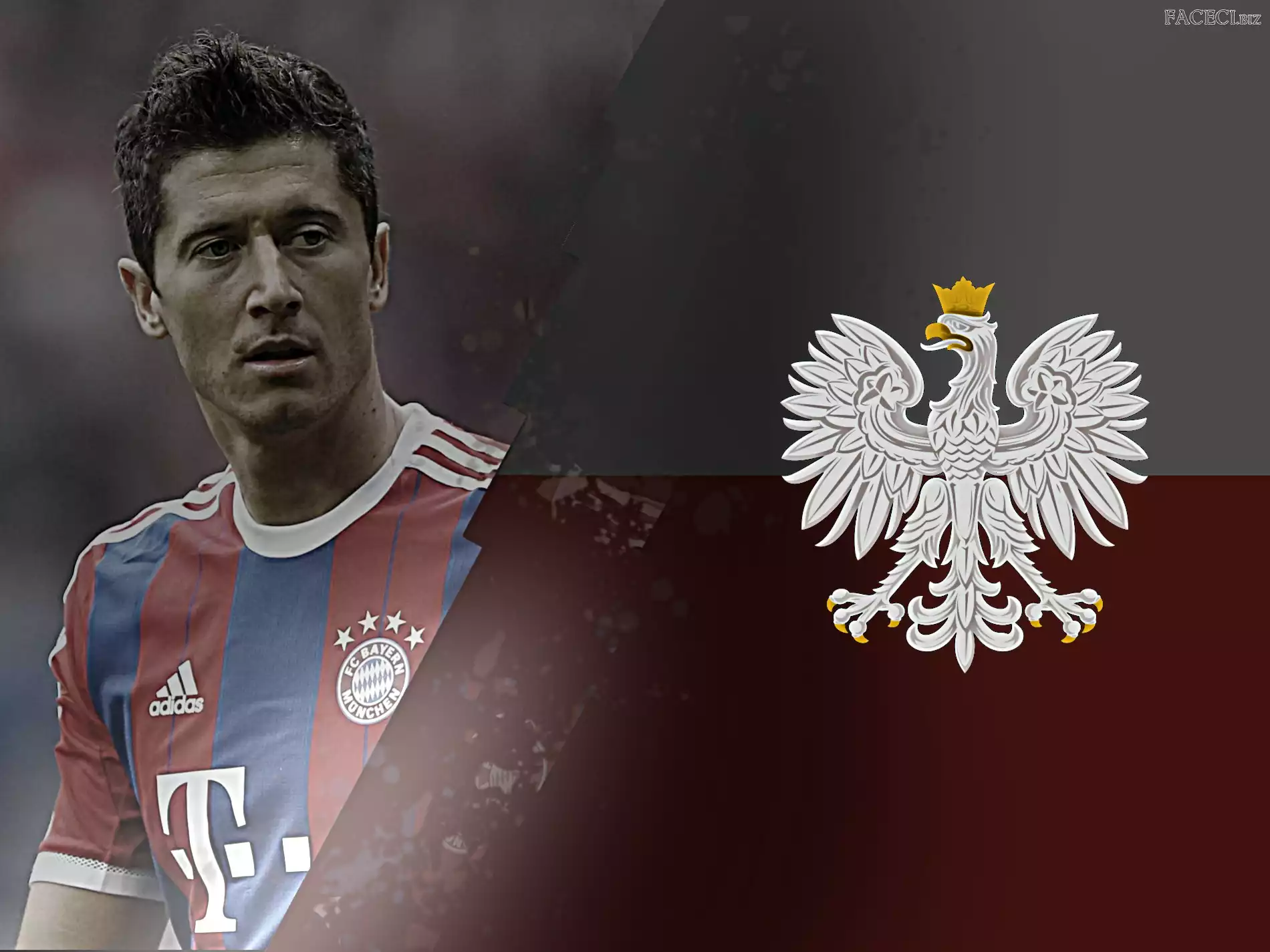 Lewy, Polska, Robert Lewandowski, Bayern Monachium
